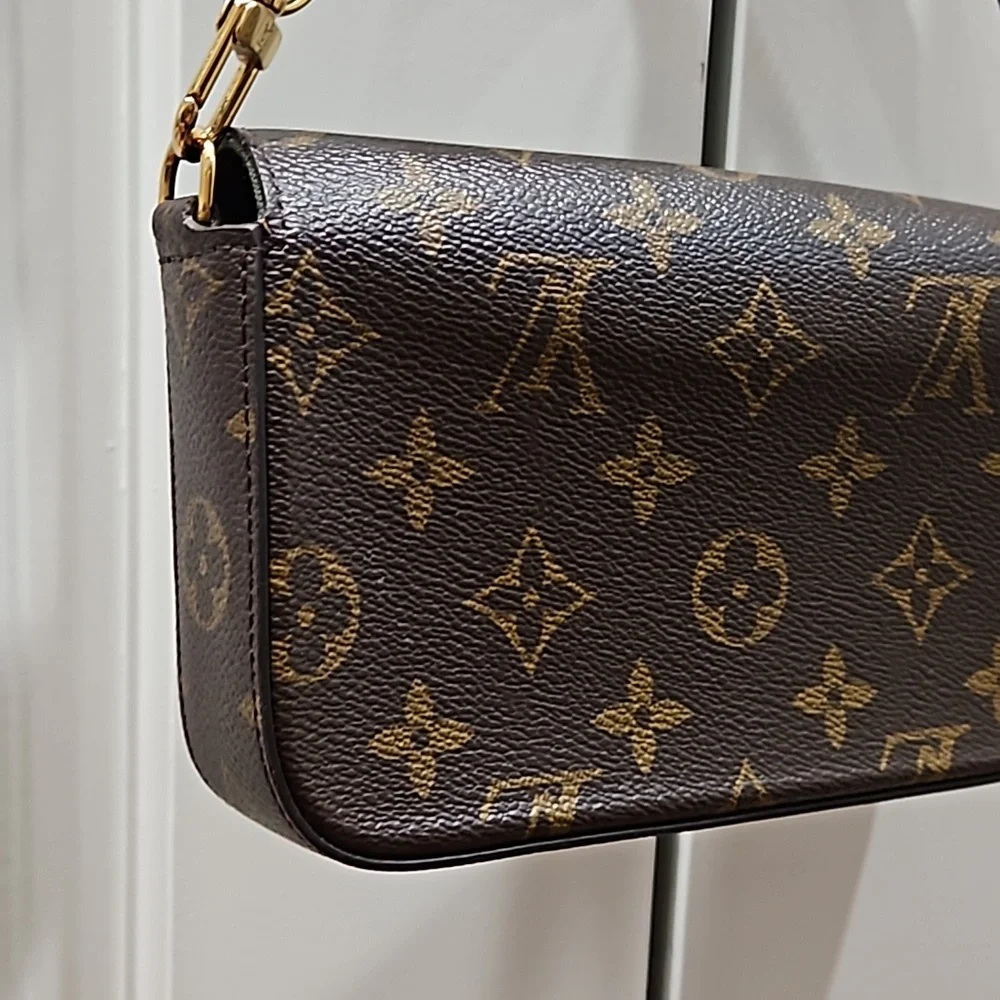 Louis Vuitton Felicie Strap and Go